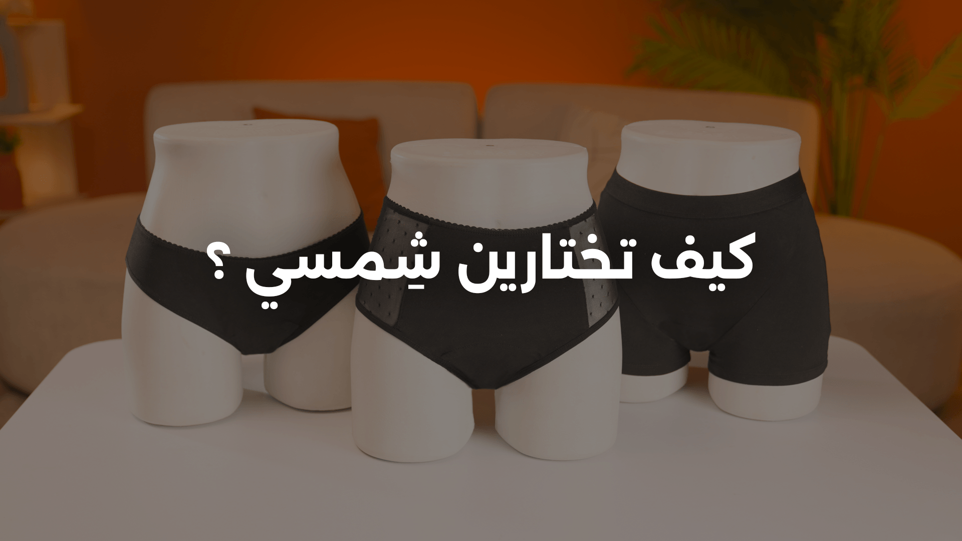 How to choose Shemsi?