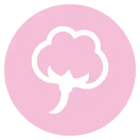 1. Inner & Outer Layers