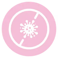 2. Absorbent Core Locks Moisture Fast